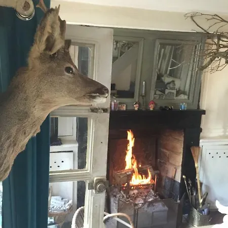 Maison De Village Sur La Route Du Cidre 펜션 캄브레머