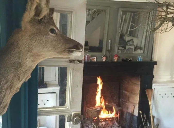 Maison De Village Sur La Route Du Cidre Holiday home Cambremer